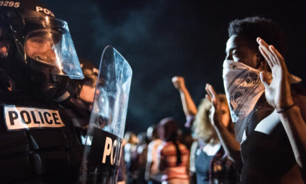 Fortifying Your Home Against Looters and Riots