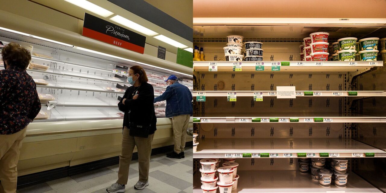 Top Protein Sources When Meat Disappears from Shelves