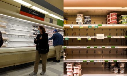 Top Protein Sources When Meat Disappears from Shelves