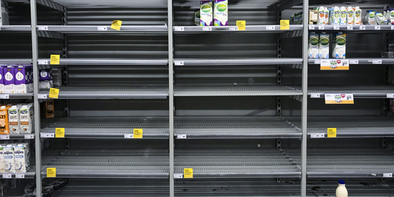 Building a One-Year Emergency Food Supply from Scratch