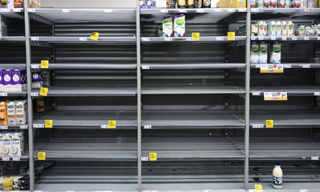 Building a One-Year Emergency Food Supply from Scratch
